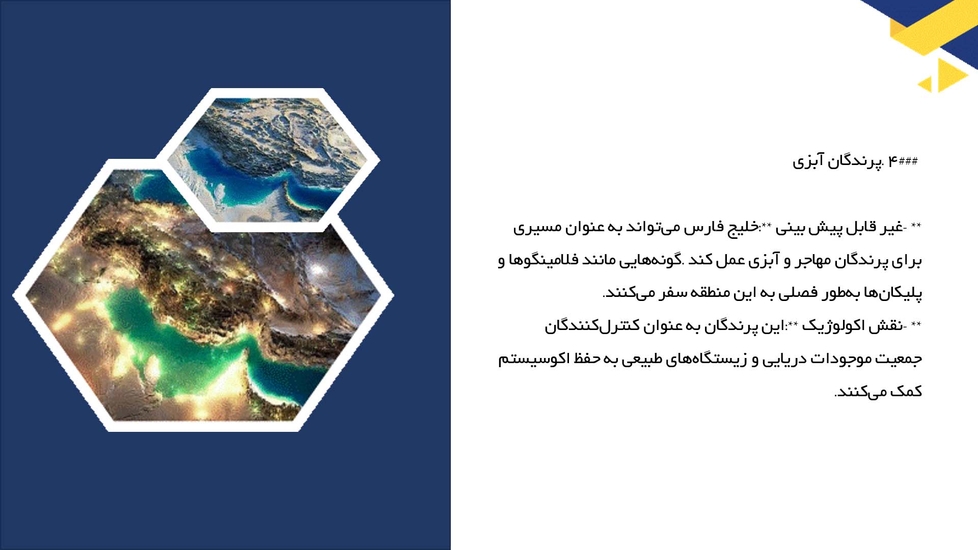 پاورپوینت در مورد گونه های خاص جانوری خلیج فارس 